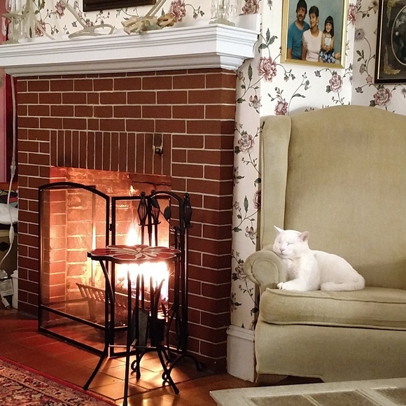 Welcome to our closet. - Picture 2 of 9